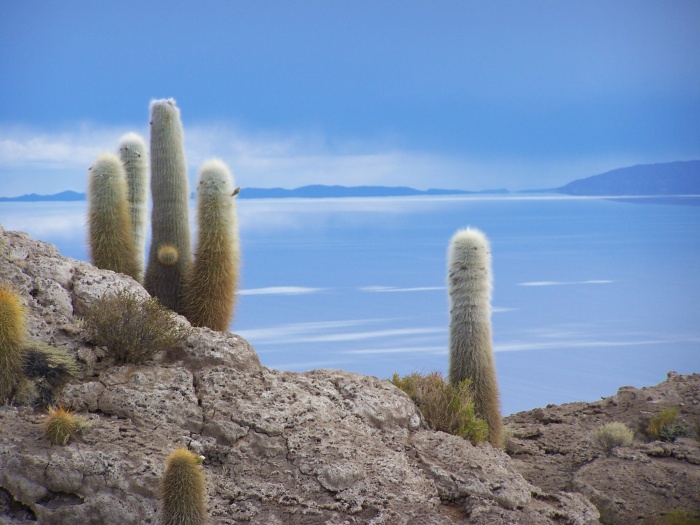 Uyuní / Bolivien